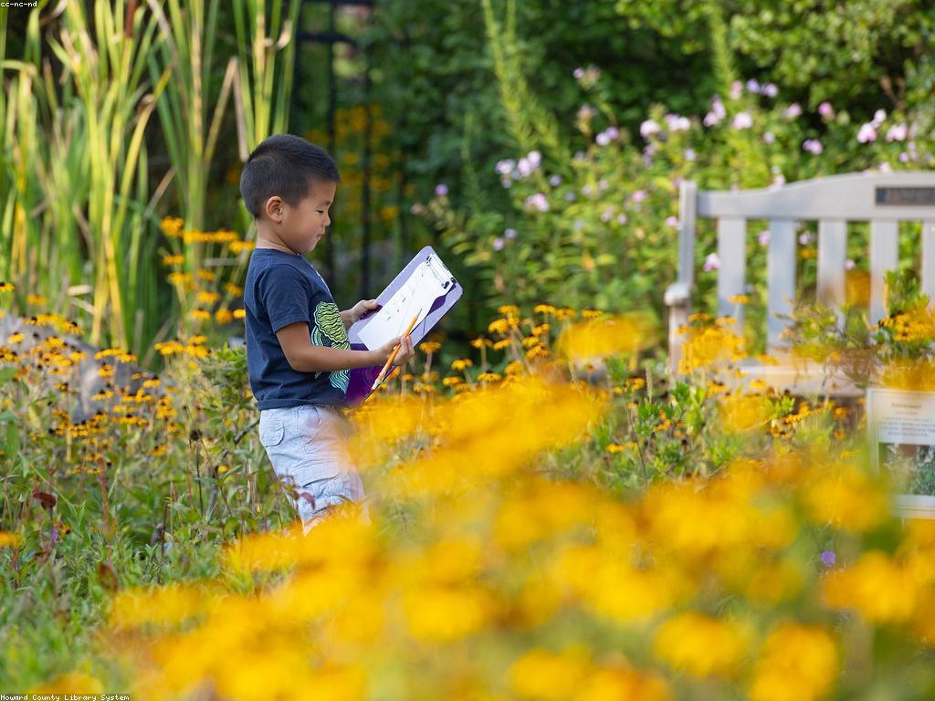 ការយល់ដឹងអំពីហ្គេមអនឡាញ